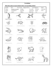 English Worksheet: Animals