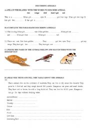 English Worksheet: Describing animals