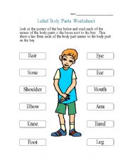 English Worksheet: my body parts