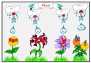 English Worksheet: plural chart