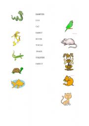 English Worksheet: Match the pets!