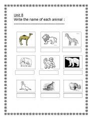 English worksheet: animals