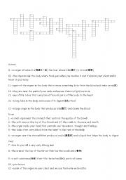 English worksheet: introduction to internal organs(crosswords)