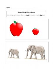 English worksheet: Big and small worksheet