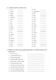 English Worksheet: singular/plural