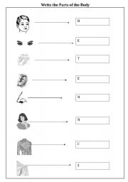 English Worksheet: Write the Parts of the Body