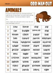 English Worksheet: Odd Man Out -ANIMALS