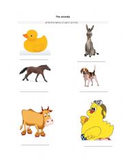 English worksheet: The animals