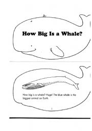 English Worksheet: how big is a whale