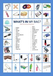 English Worksheet: Whats in my bag?