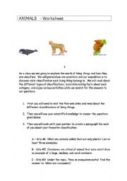 English worksheet: The world of animals