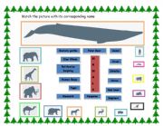 English worksheet: Animals - Mammals