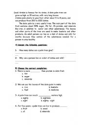 English Worksheet: Dates in Saudi Arabia