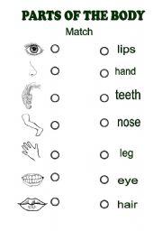 English Worksheet: Parts of the body