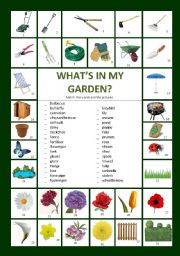 Whats in my garden?