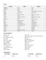 English Worksheet: Animal Names - gender differences