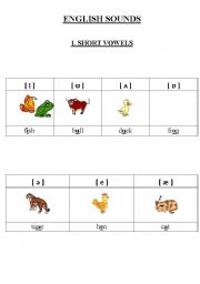 English Worksheet: english sounds - short vowels