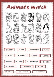 English Worksheet: Animals