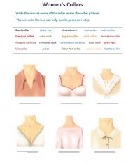 English Worksheet: Womens Collar
