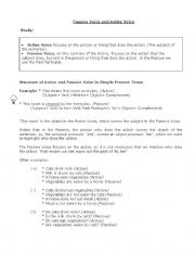 English worksheet: Passive Voice VS Active Voice