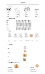 English Worksheet: Face and feelings