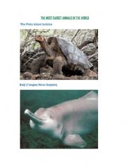 English Worksheet: THE MOST RAREST ANIMALS IN THE WORLD