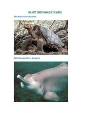 English worksheet: THE MOST RAREST ANIMALS IN THE WORLD