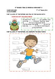 English Worksheet: body parts worksheet