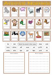 English Worksheet: Animals