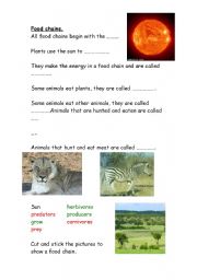 English Worksheet: Food Chains
