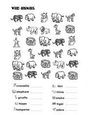 English Worksheet: How Many Wild Animals