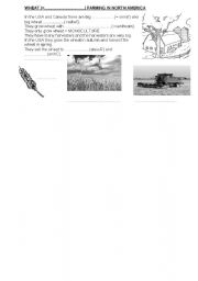 English worksheet: Wheat farming in North America