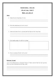 English worksheet: Plants