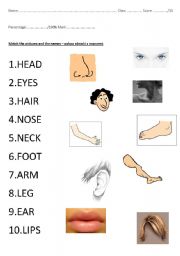 English Worksheet: Body parts