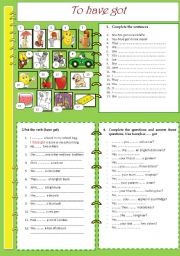 English Worksheet: TO HAVE GOT