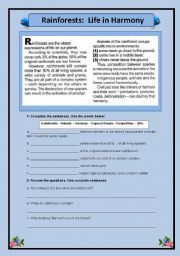 English Worksheet: Rainforests