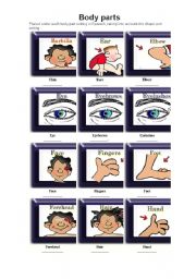 English Worksheet: body parts