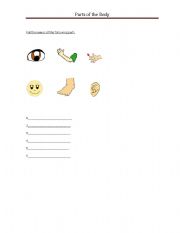 English Worksheet: Parts of the Body