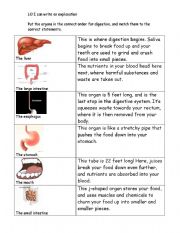 Digestion explanation