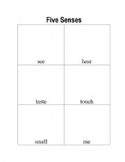 English worksheet: Five Senses