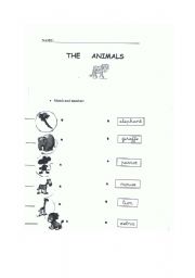 English worksheet: The animals