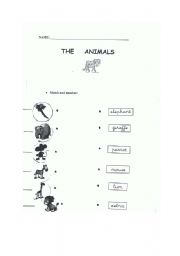 English Worksheet: The animals