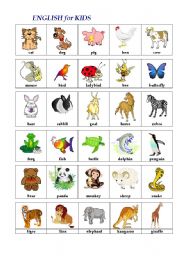 English Worksheet: ENGLISH in PICTURES (animals)