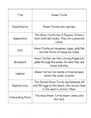 English Worksheet: Green Turtle Information Report