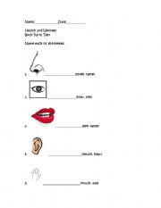 English Worksheet: Body Parts Test