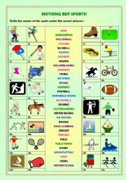 English Worksheet: Nothing but sports! (+key)