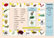 English Worksheet: Insects / living things