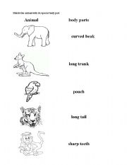 English worksheet: Animal body