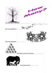 English Worksheet: How many...? Optical illusions