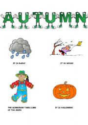 English Worksheet: WHAT HAPPENS IN AUTUMN-3